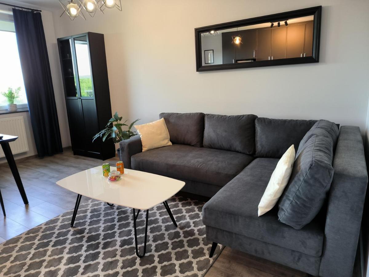 Apartament Stanczyka - 42M2 Krakau Buitenkant foto